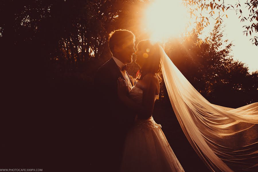 शादी का फोटोग्राफर Anton Kuznecov (photocafe)। दिसम्बर 14 2015 का फोटो