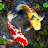 Fish Live Wallpapers Aquarium icon