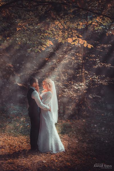 Photographe de mariage Dmitriy Korol (icor). Photo du 1 novembre 2017
