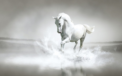 White Horse