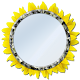 Mirror - Light, Zoom, Selfie Download on Windows