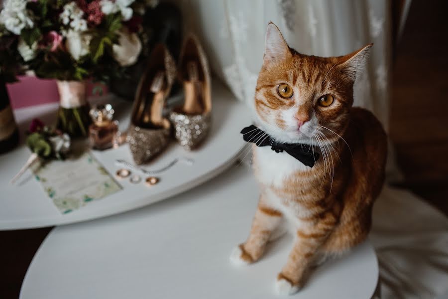 Fotografo di matrimoni Aleksandr Sirotkin (sirotkin). Foto del 21 giugno 2018