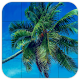 Download Tile Puzzles · Palm Trees For PC Windows and Mac 1.18.pa