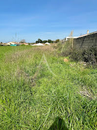 terrain à Les Sables-d'Olonne (85)