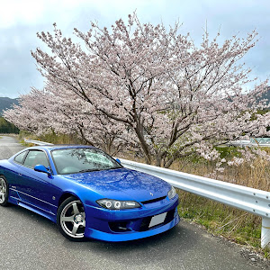 シルビア S15