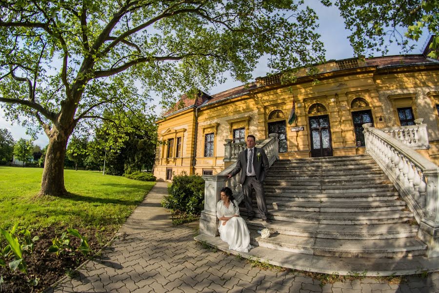 Huwelijksfotograaf Gábor Badics (badics). Foto van 15 juni 2016