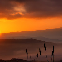 Alba Toscana di 