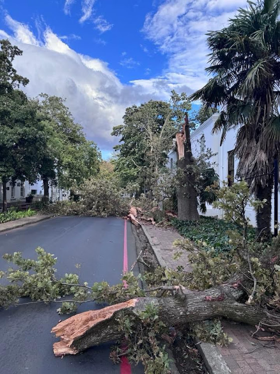 Strong winds in Cape Town cause havoc.