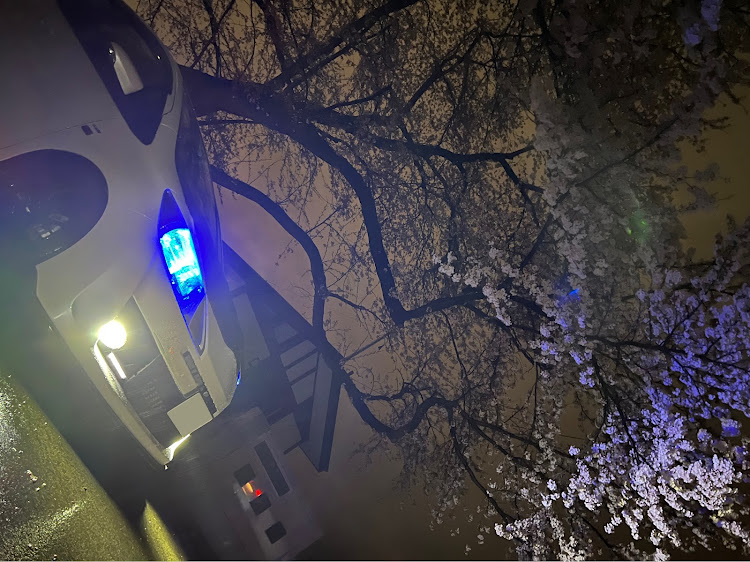 ヴィッツの桜スポット・桜とクルマ・スーパーラップ・夜桜撮影に関するカスタム事例の投稿画像5枚目