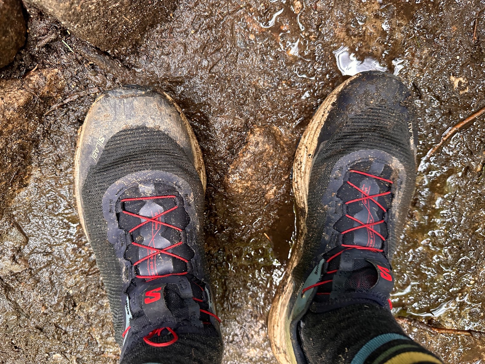 Road Trail Run: Salomon S/Lab Ultra FDH 2023 Review: François x Salomon ...