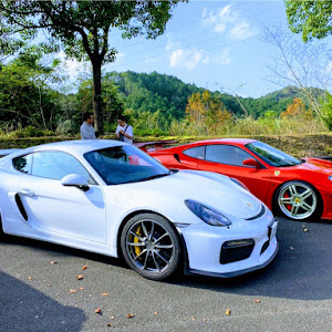 ケイマン GT4