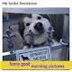 Download funny good morning pictures For PC Windows and Mac 4.0.0