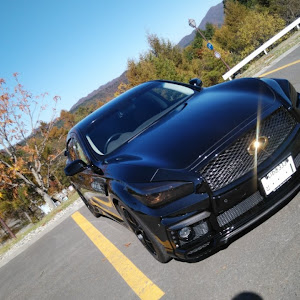フーガ Y51型