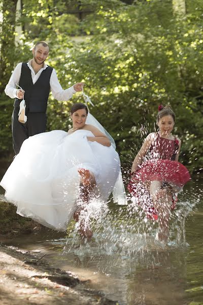 Hochzeitsfotograf Iris Ulmer-Leibfritz (ulmerleibfritz). Foto vom 19. Juni 2016