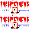 TheSpicyNews Hindi News icon