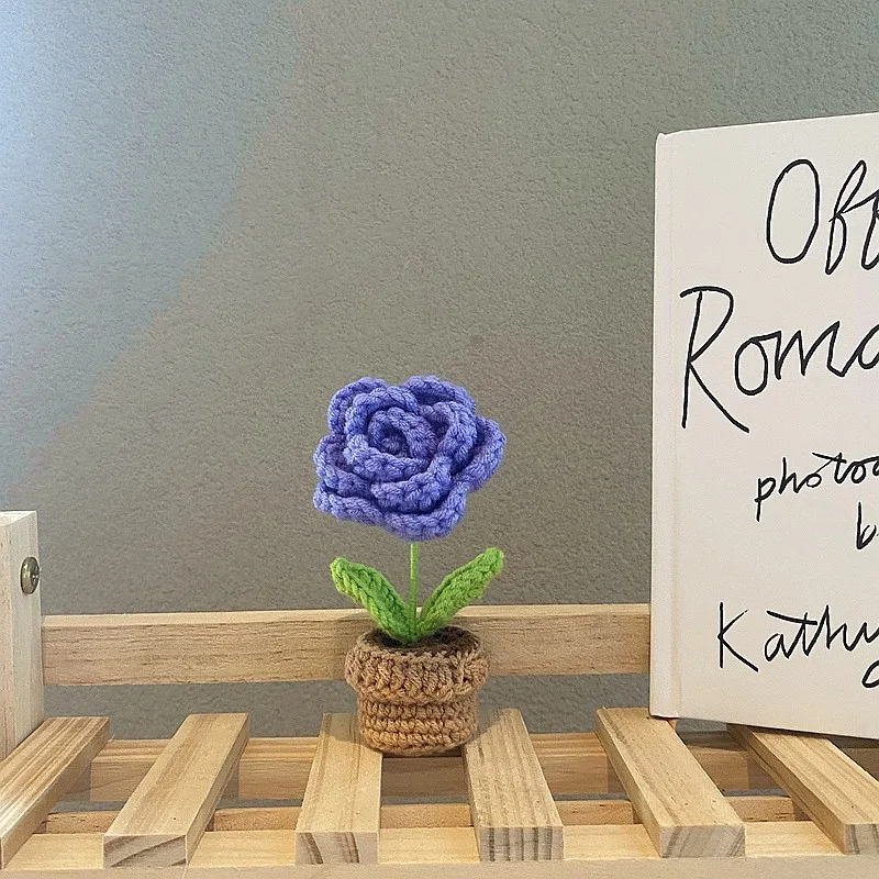 Handgeweven Mini Bloempotbloemen