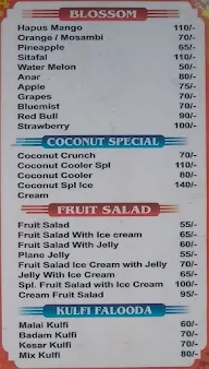 Shree Nidhi Juice Centre menu 2