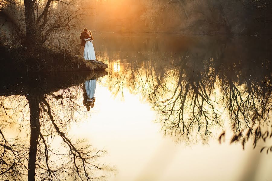 Düğün fotoğrafçısı Vladimir Starkov (vstarkov). 13 Aralık 2015 fotoları