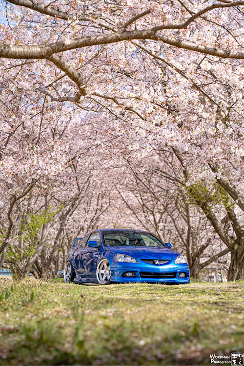 インテグラの桜と愛車に関するカスタム事例の投稿画像2枚目