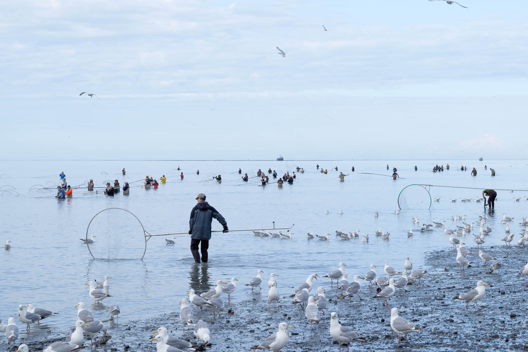 Dipnet Fishing, Kenai River, Alaska