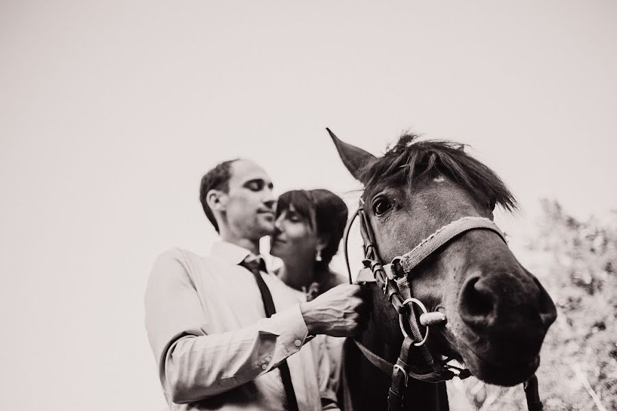 Fotografo di matrimoni Elena Gorina (gorina). Foto del 10 luglio 2014