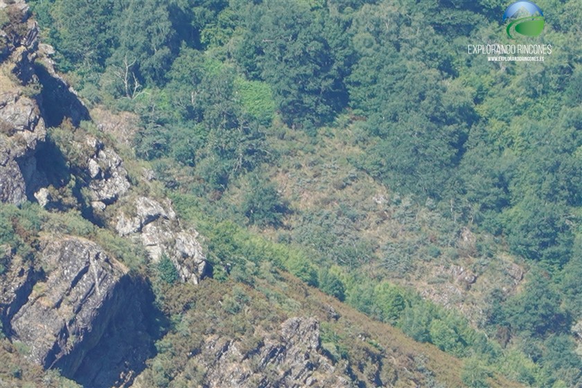 PEÑA TREVINCA la cumbre MAS ALTA DE GALICIA, CON NIÑOS