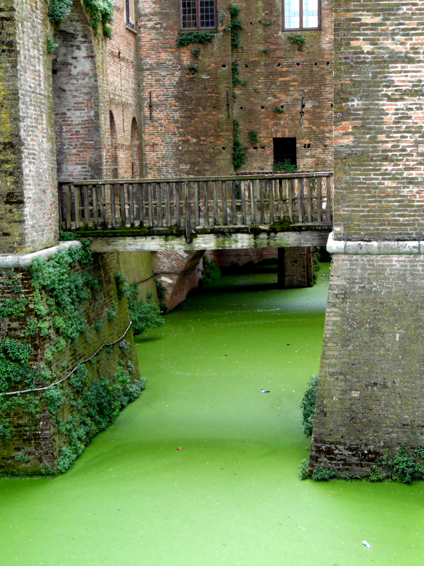 Acqua stagnante di supergigi