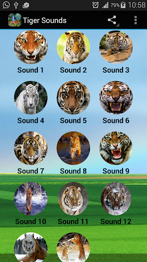 Tiger Sounds