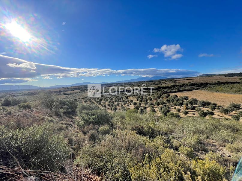 Vente terrain  22000 m² à Baixas (66390), 120 000 €