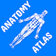 Download Anatomy Atlas for Students - Lite Version For PC Windows and Mac 1.0.0