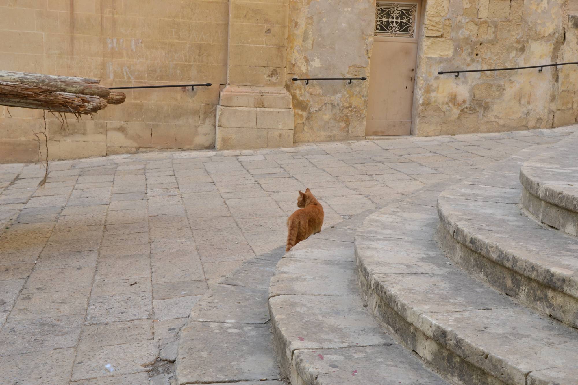 in giro per Malta di ELENA 77