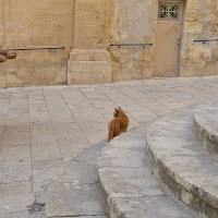 in giro per Malta di 