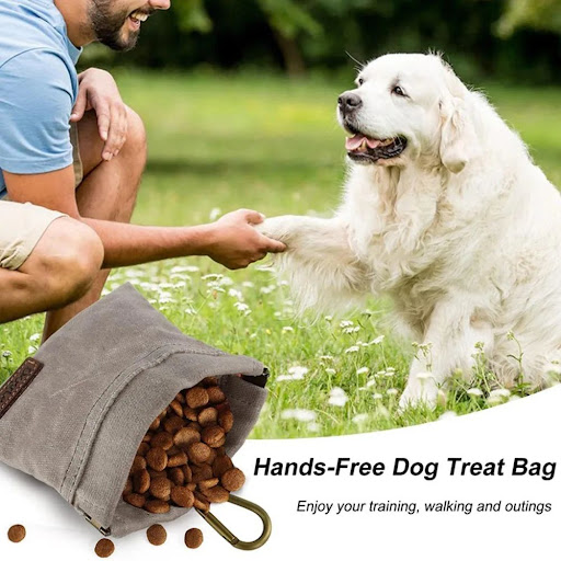 Title 3, Portable Dog Training Snack Bag Oil Resistant D...