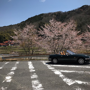 ロードスター NA8C