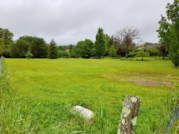 terrain à Couzeix (87)