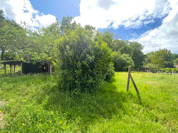 maison à Saubion (40)