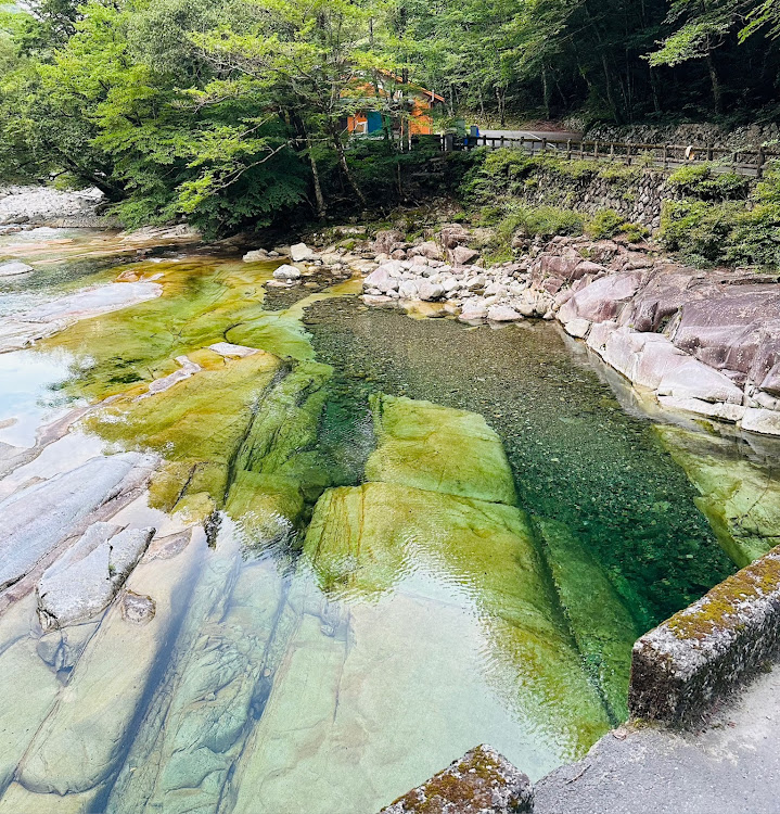 の投稿画像3枚目