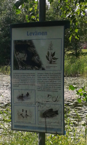 Levänen