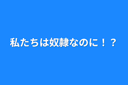 私たちは奴隷なのに！？