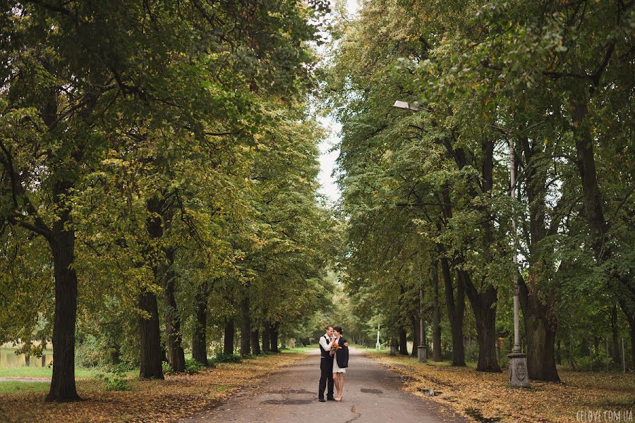 Photographe de mariage Anna Gorbenko (annagorbenko). Photo du 5 décembre 2013