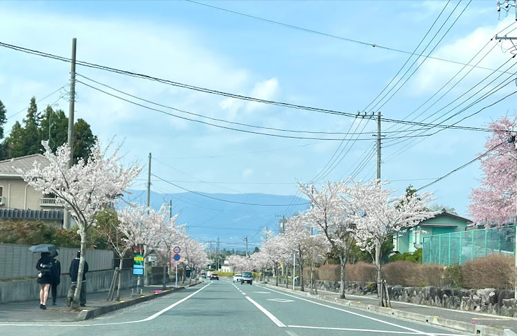 ロードスターRFのいつもいいね＆コメントありがとうございます🥰・ツーリングアフター・えびせんべいの里・富士山に関するカスタム事例の投稿画像24枚目