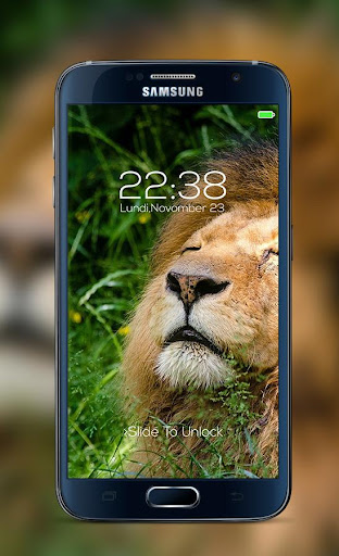 Lion password Lock Screen