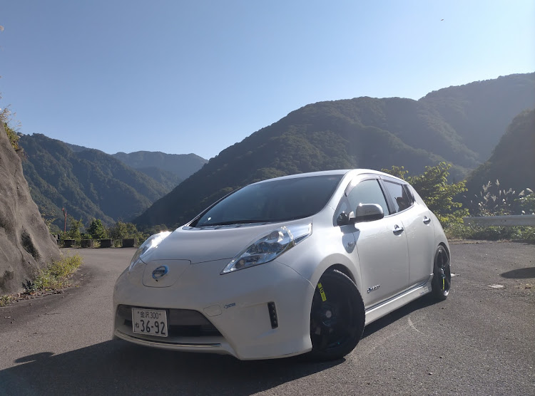リーフのいいね&コメントいつもありがとうございます・石川県・白山白川郷ホワイトロード・猫に関するカスタム事例の投稿画像1枚目