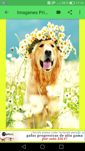 Bienvenida Primavera