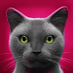 Cover Image of Скачать Говорящий кот 1.1.8 APK