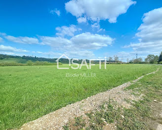 terrain à Pulligny (54)