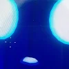 ユーザー