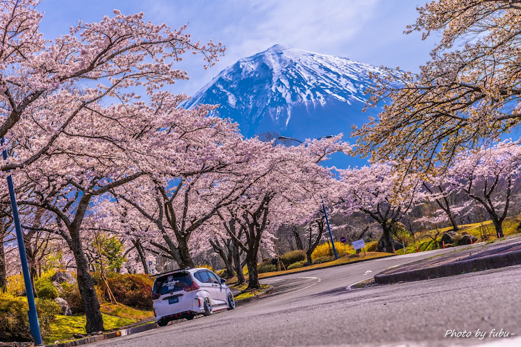 の投稿画像2枚目