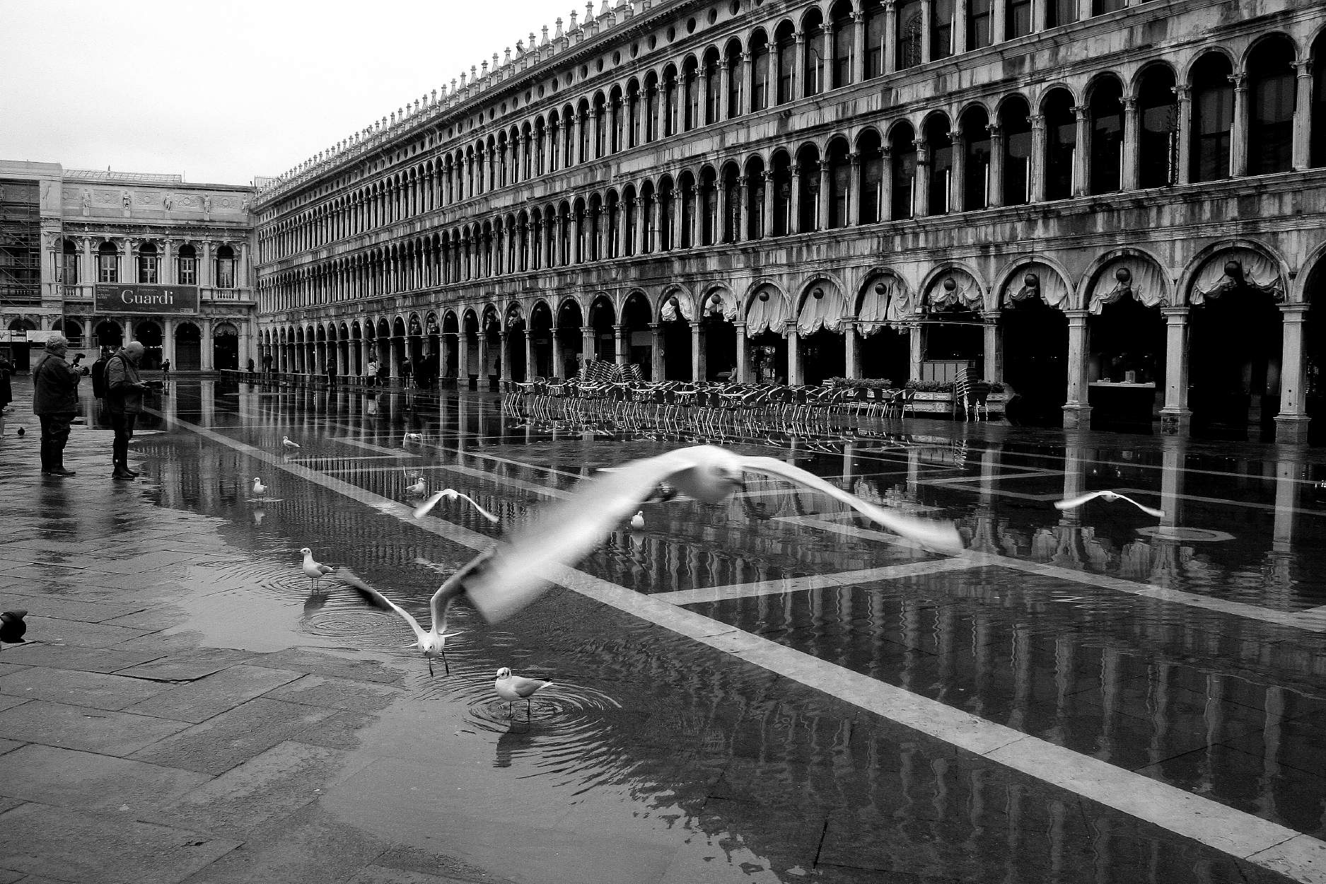 Volo a San Marco di Andrea F