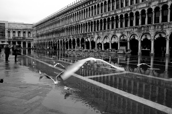 Volo a San Marco di Andrea F